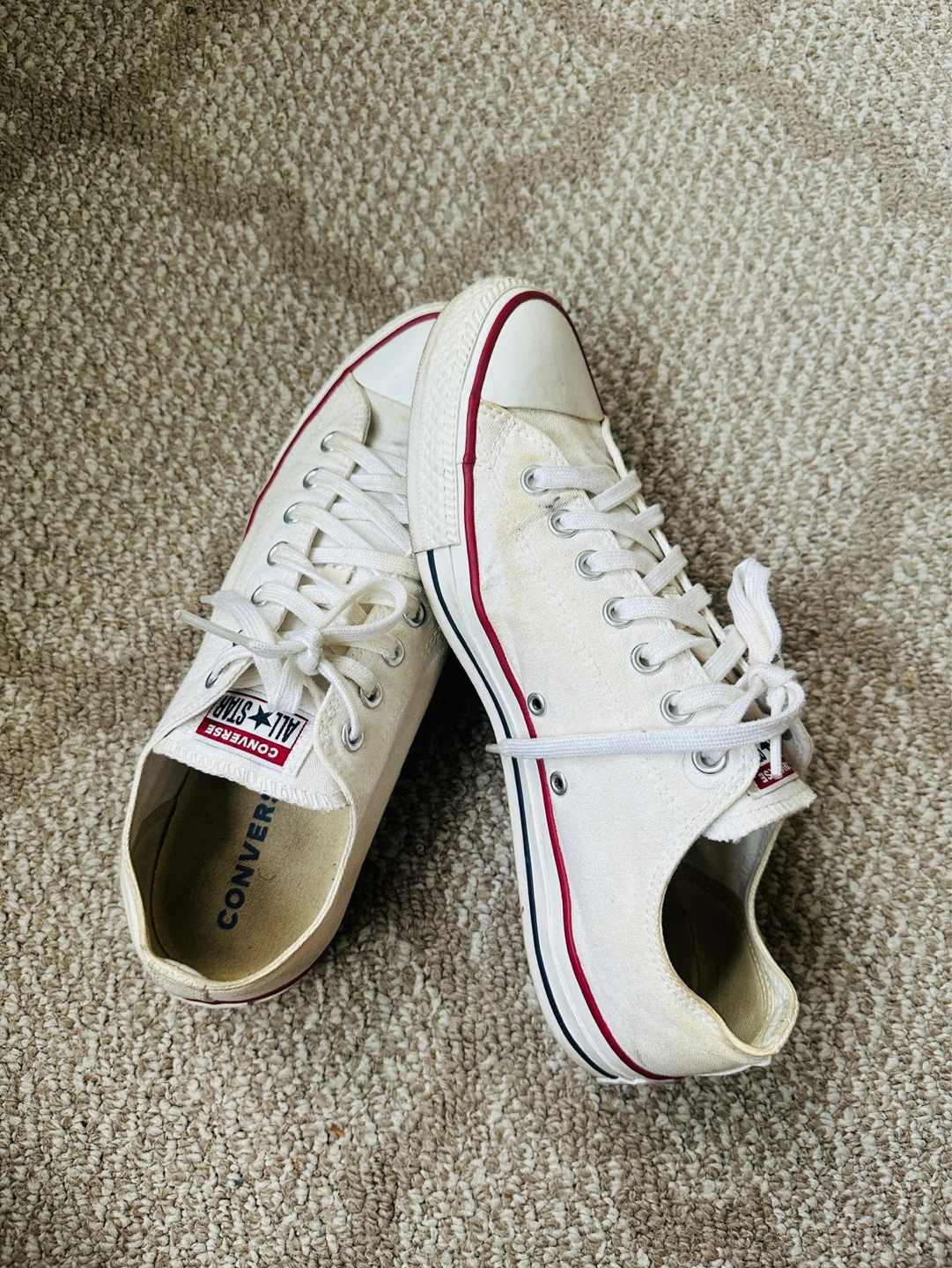 White Converse All Star Chuck Taylor Low Top Sneakers