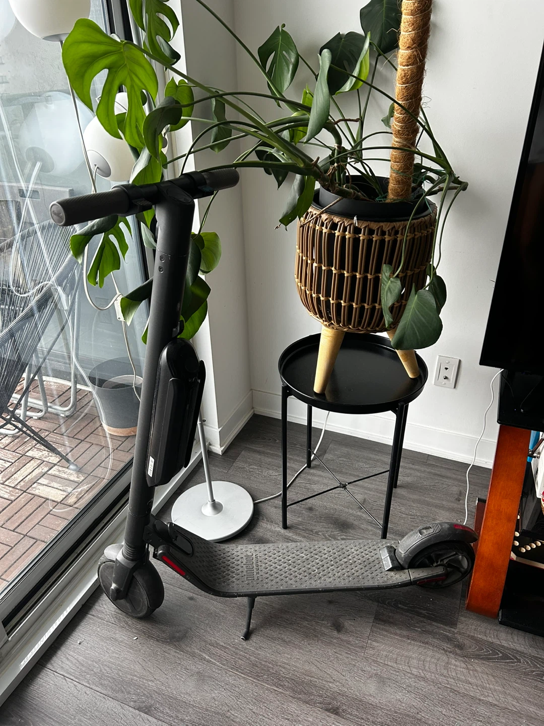 Segway Ninebot E22 Electric Kick Scooter - Dark Grey - photo 2