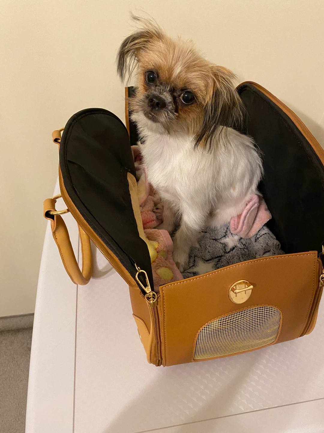 Sasapet Pet Carrier - photo 5