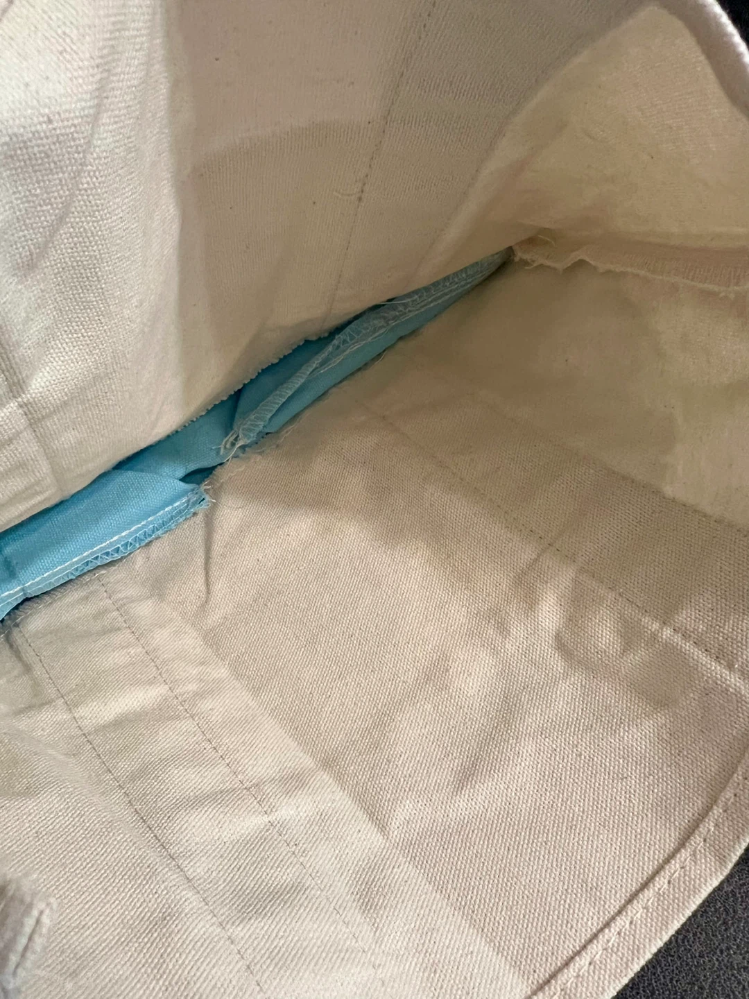 Trader Joe’s Mini Canvas Tote Bag – Like New - photo 4
