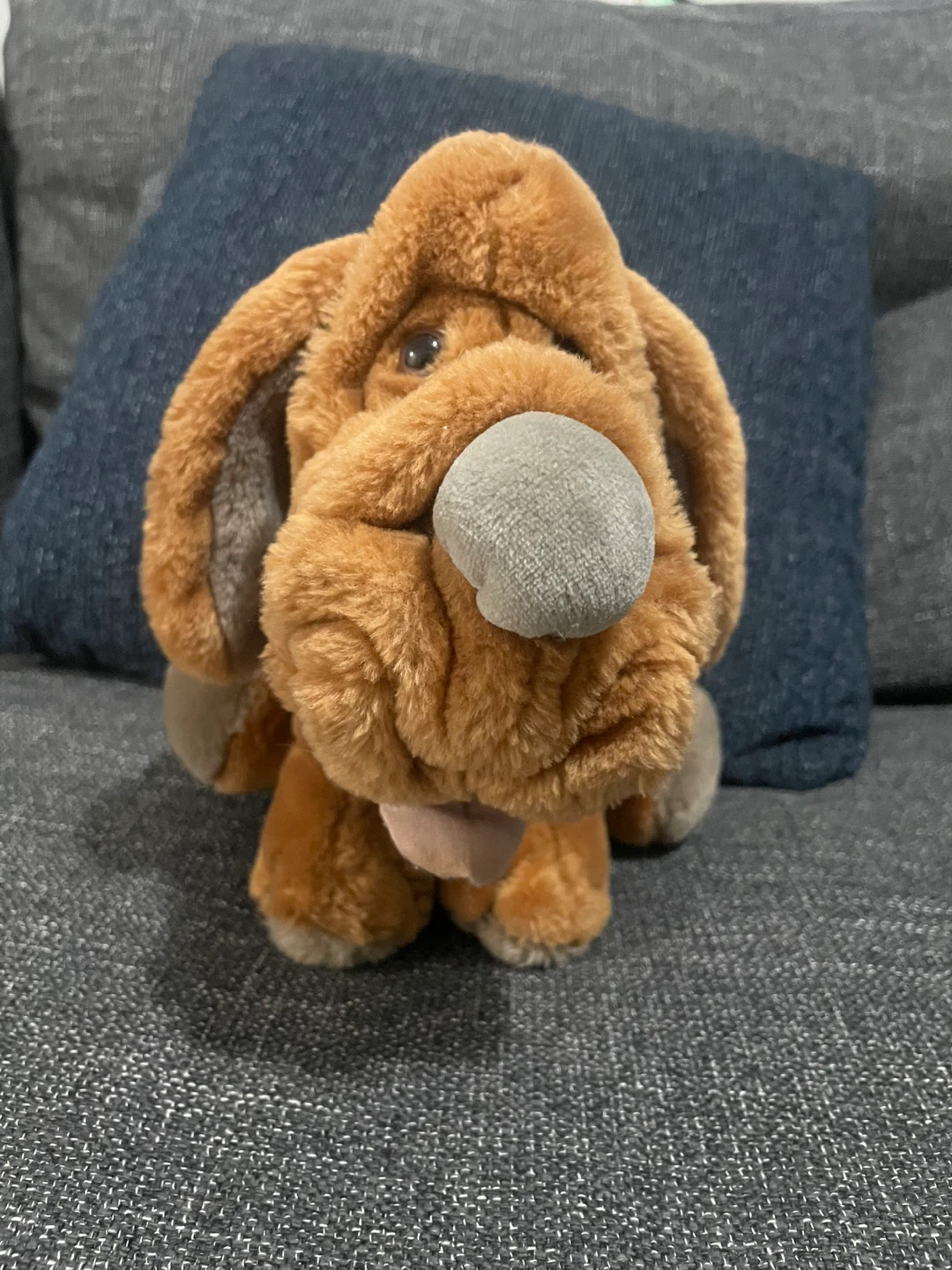 Vintage Wrinkles Plush Dog Toy
