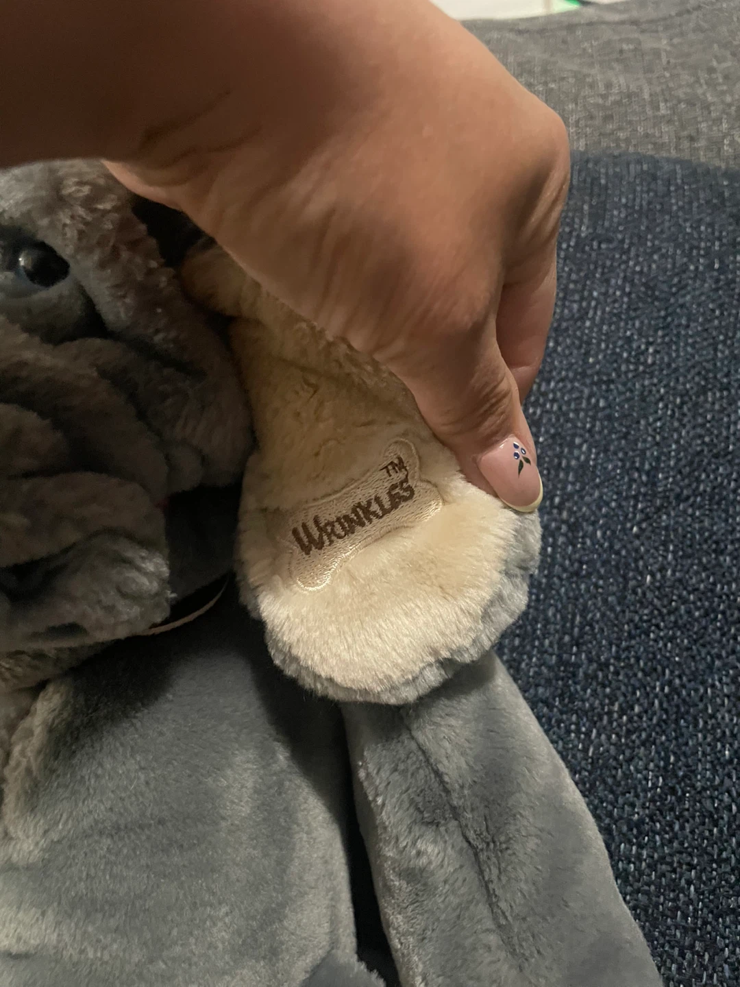 Vintage Wrinkles Plush Dog Toy - photo 4