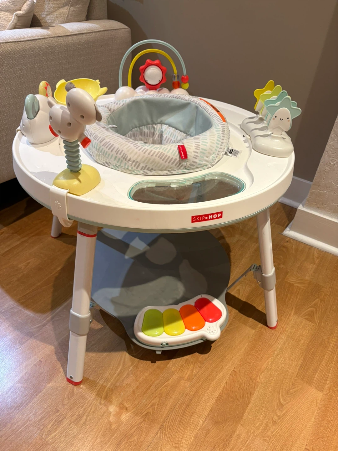 Skip Hop Baby Activity Center