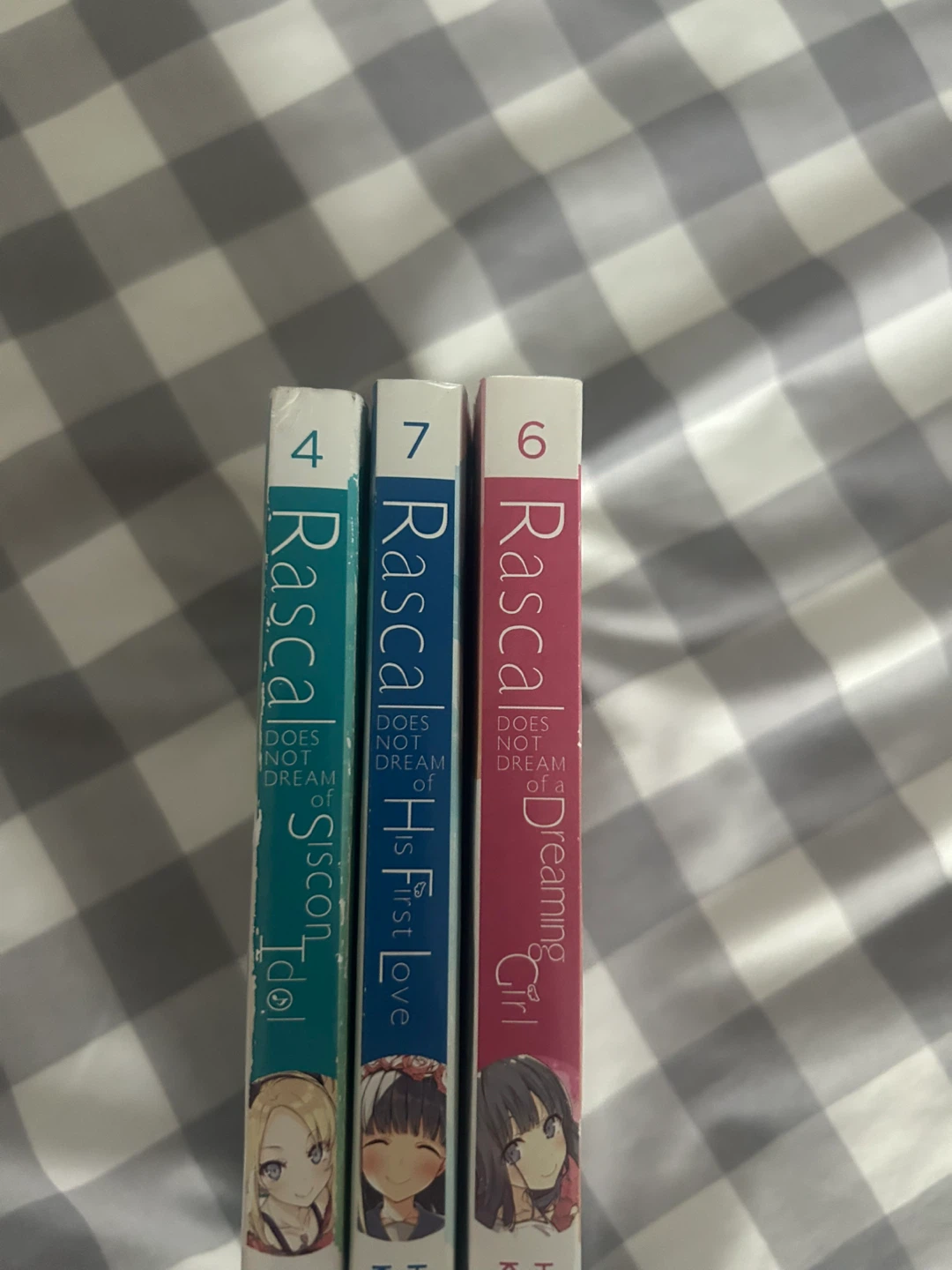 Rascal Does Not Dream of Bunny Girl Senpai Light Novels - photo 2