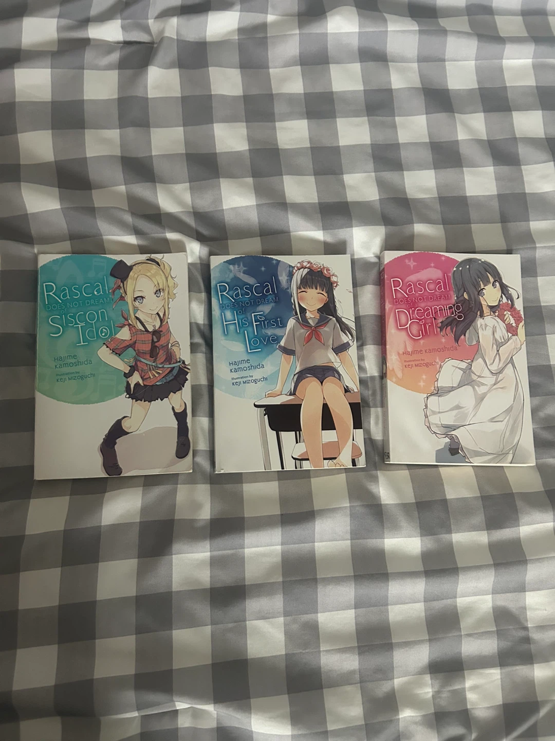 Rascal Does Not Dream of Bunny Girl Senpai Light Novels