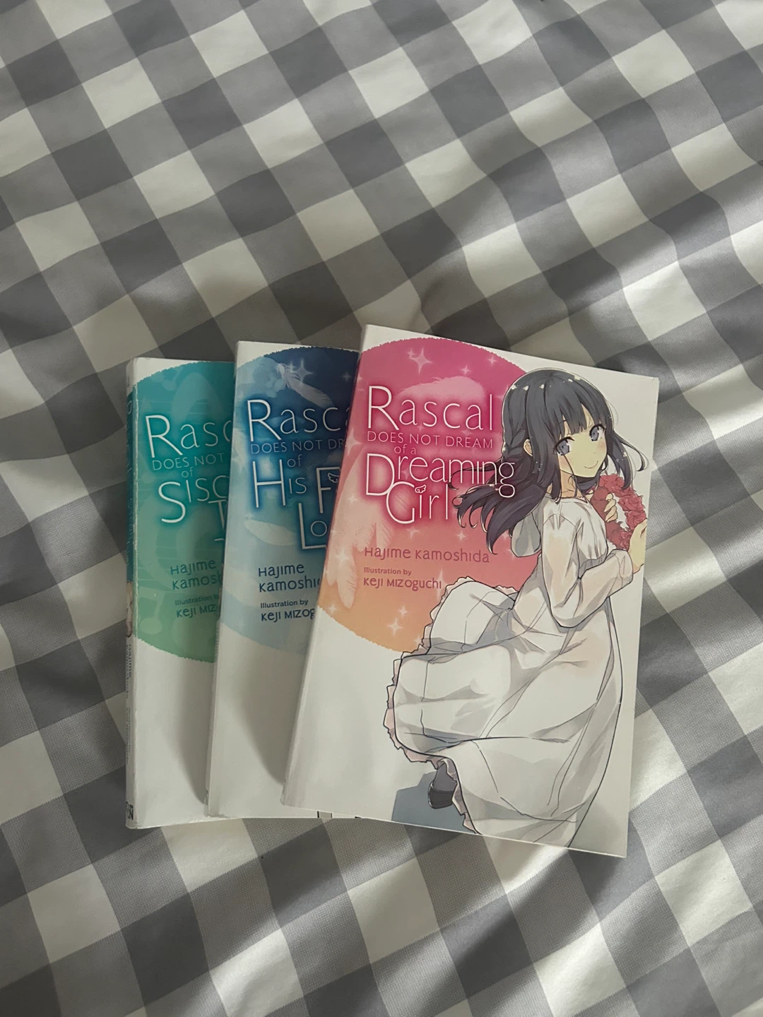 Rascal Does Not Dream of Bunny Girl Senpai Light Novels - photo 3