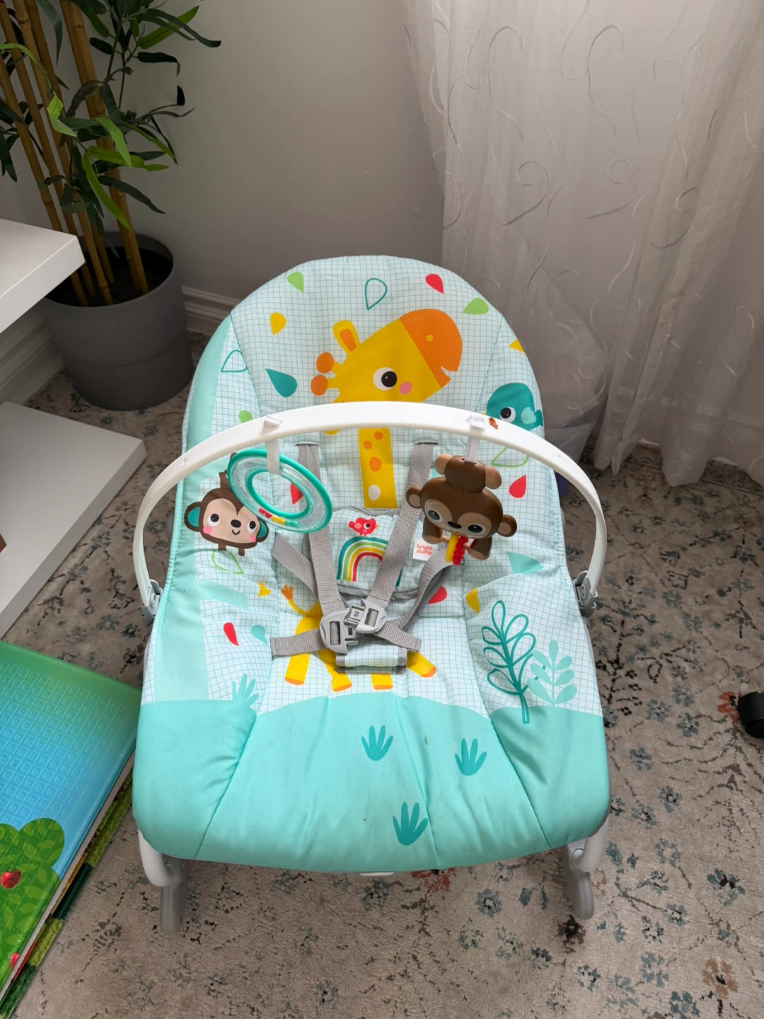 Bright Starts Baby Bouncer Seat