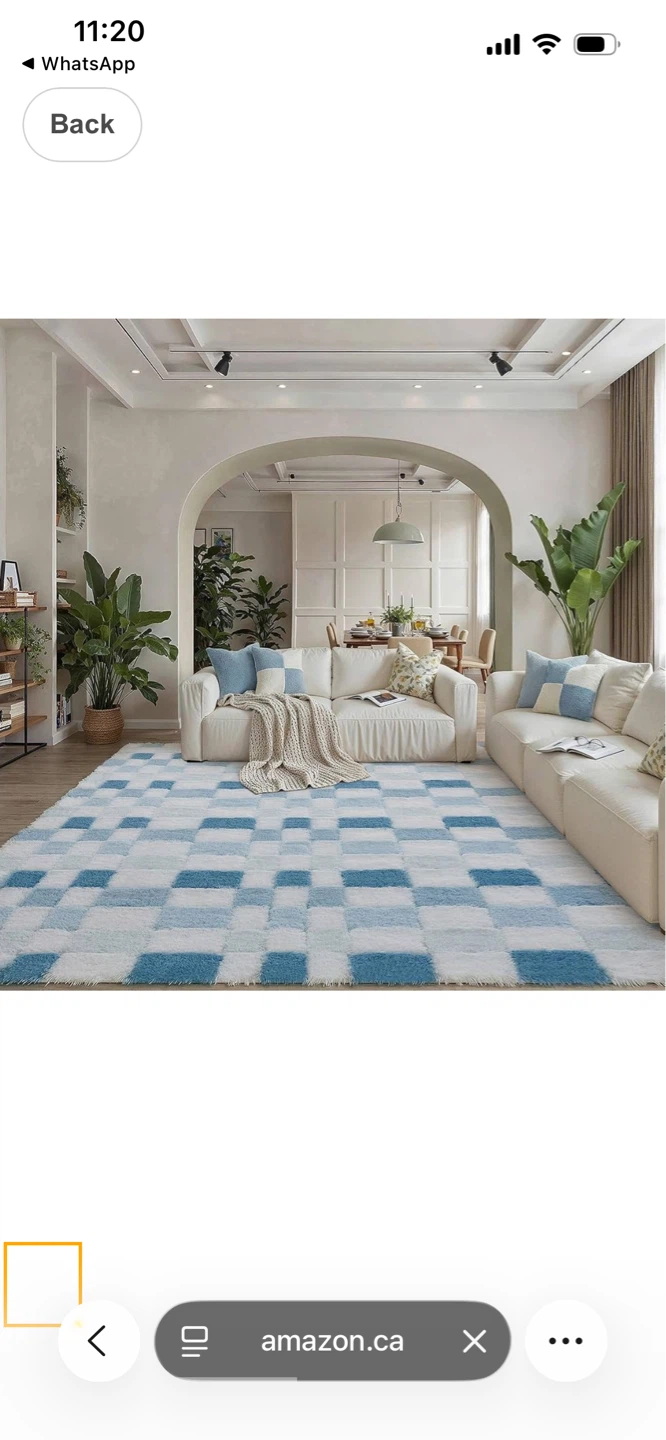 WONDRG Fluffy Area Rug - Blue Plaid - 8x10 FT - photo 4
