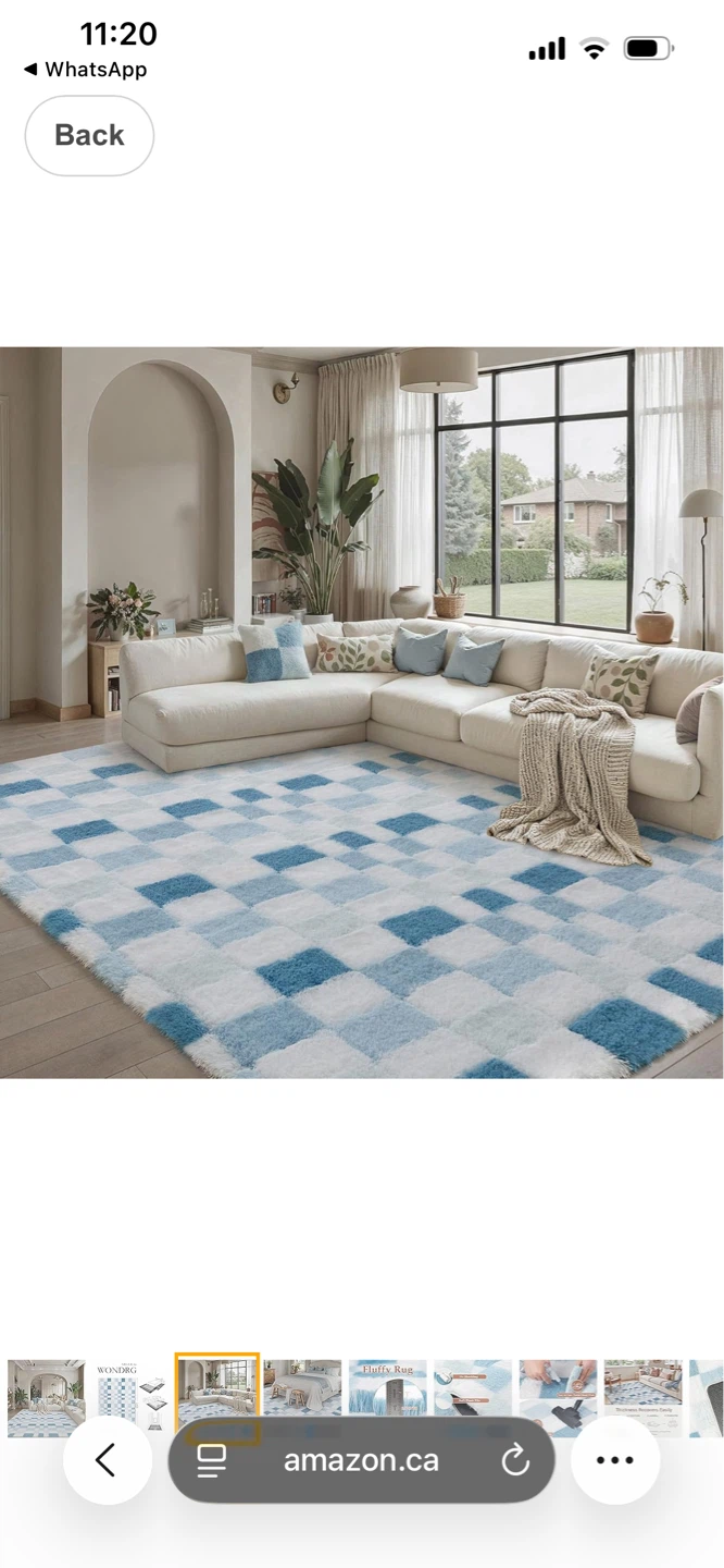 WONDRG Fluffy Area Rug - Blue Plaid - 8x10 FT - photo 2