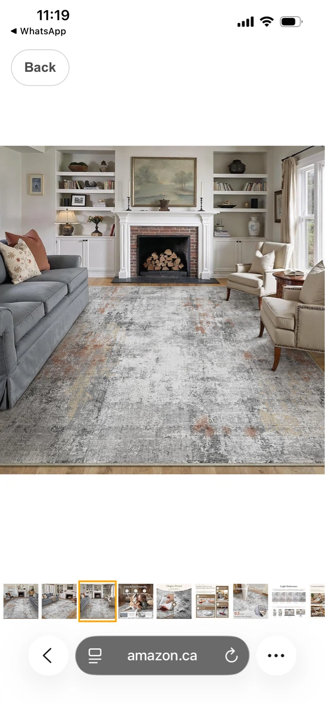 Grey/Rust Area Rug - photo 3
