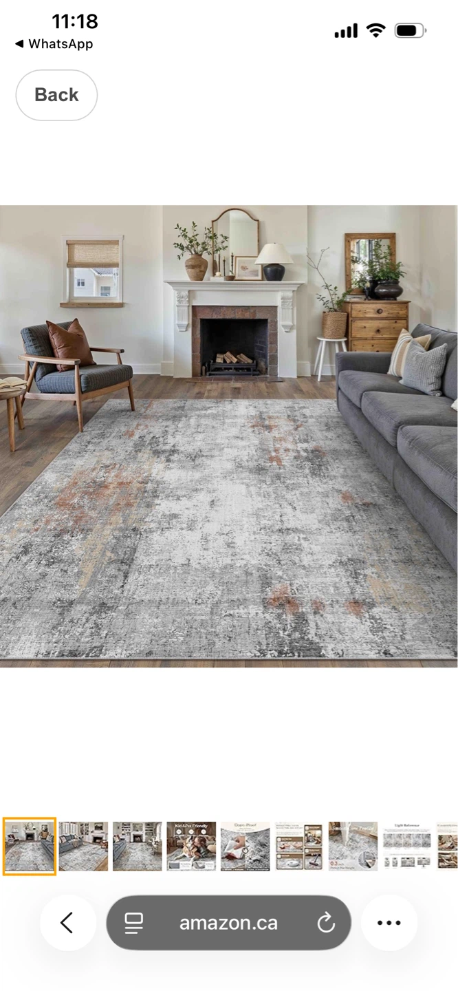Grey/Rust Area Rug