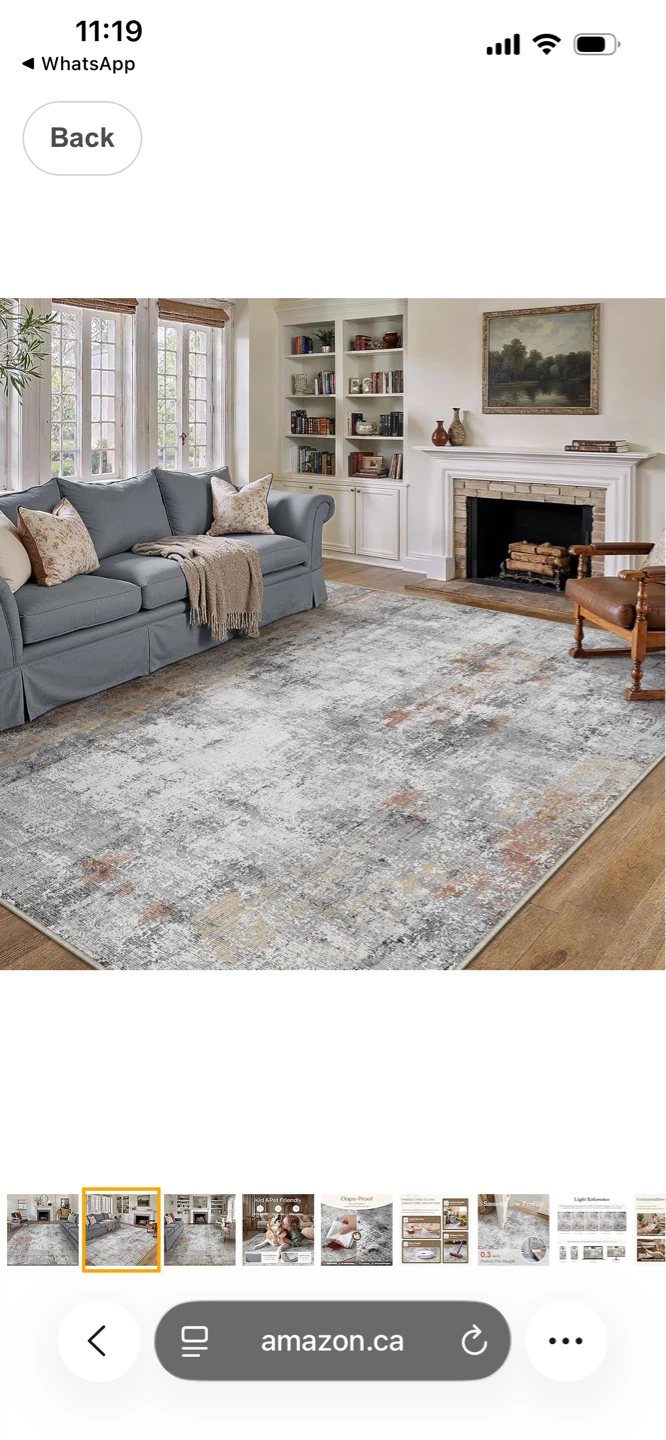 Grey/Rust Area Rug - photo 2