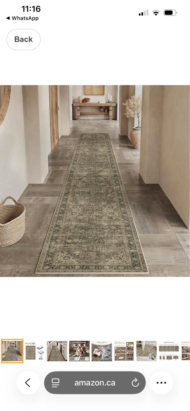 Wondrg Area Rug 3X10