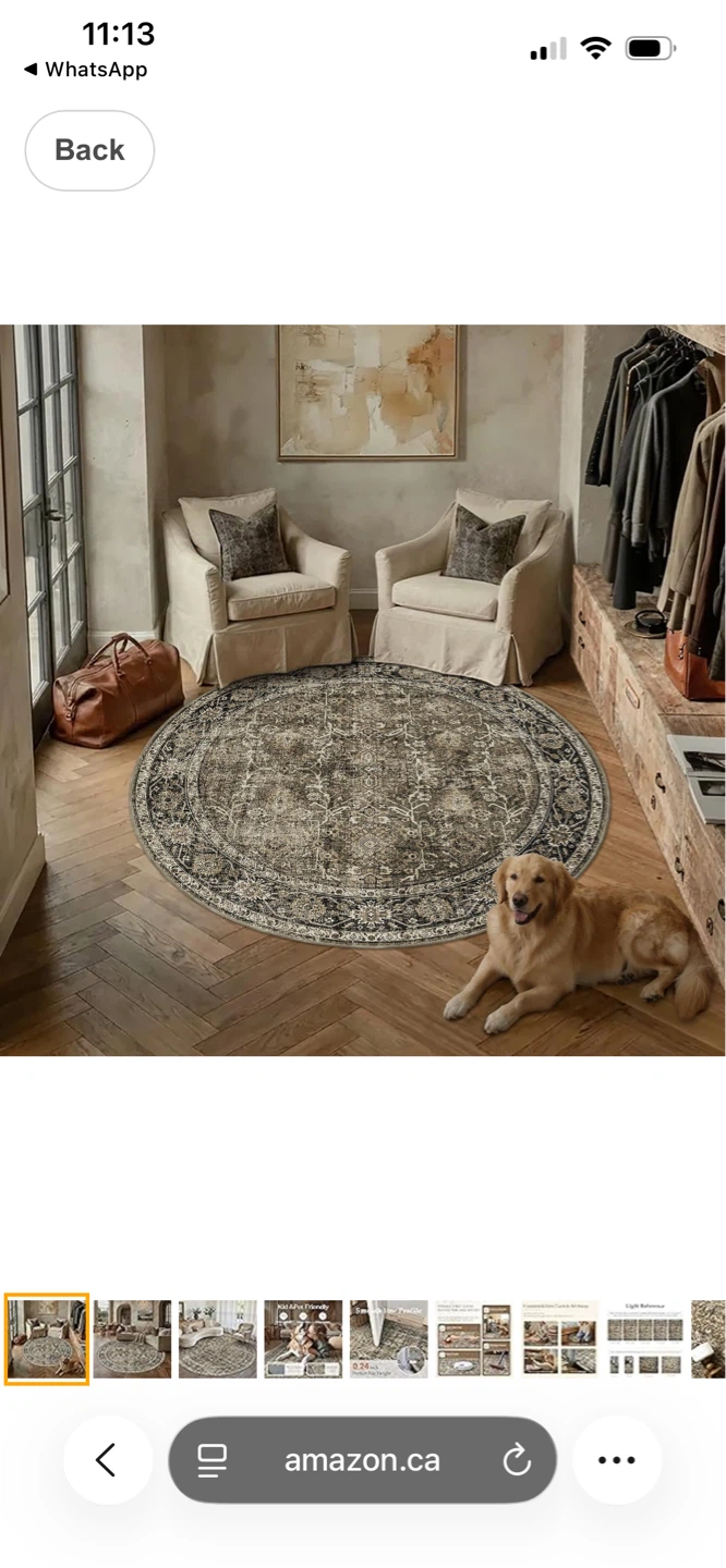 Round Accent Brown Area Rug 6ft - photo 2