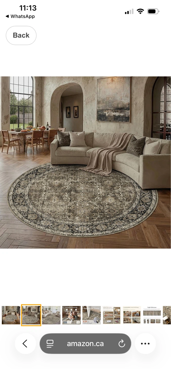 Round Accent Brown Area Rug 6ft