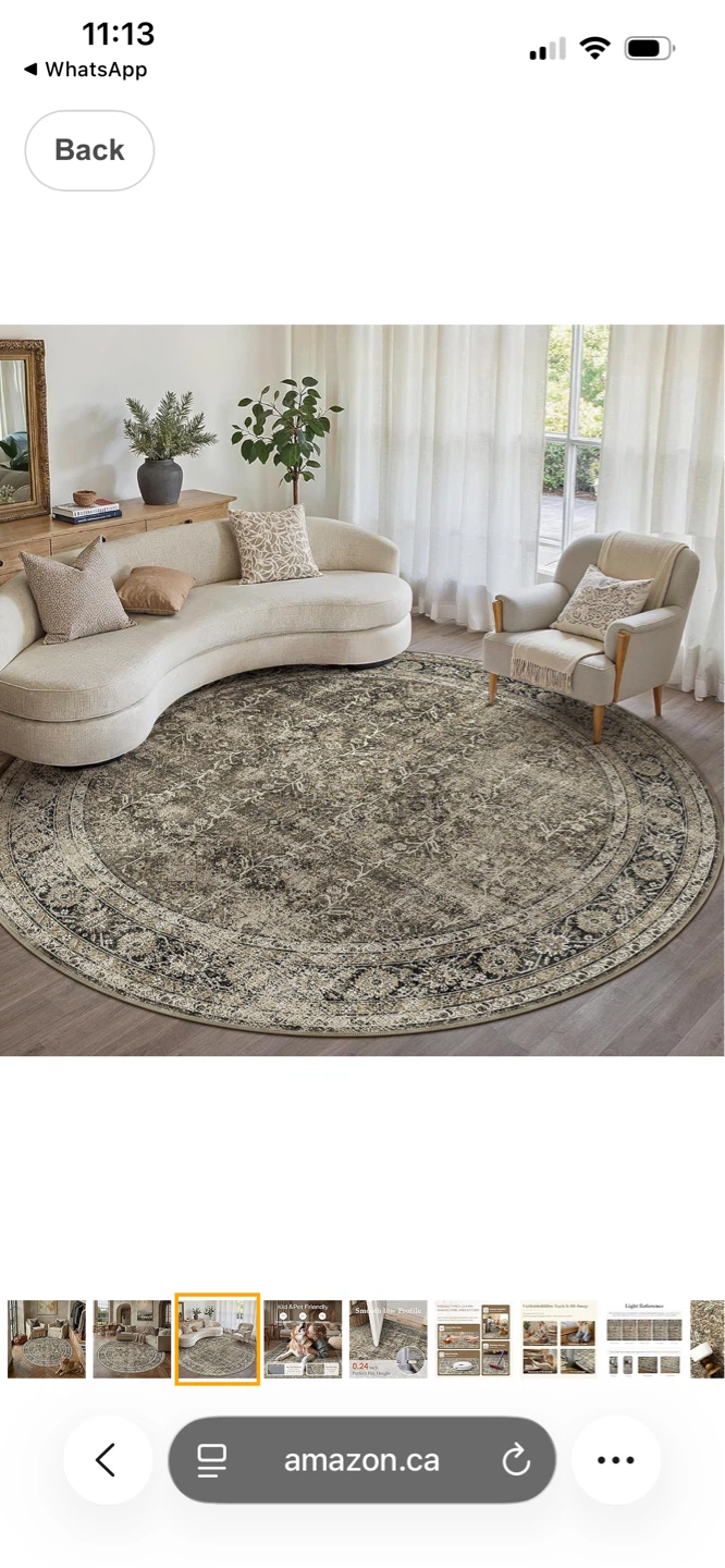 Round Accent Brown Area Rug 6ft - photo 3