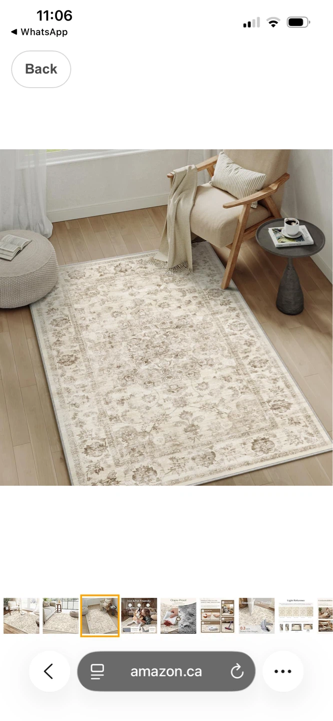 Distressed Floral Area Rug 3X4 - photo 3