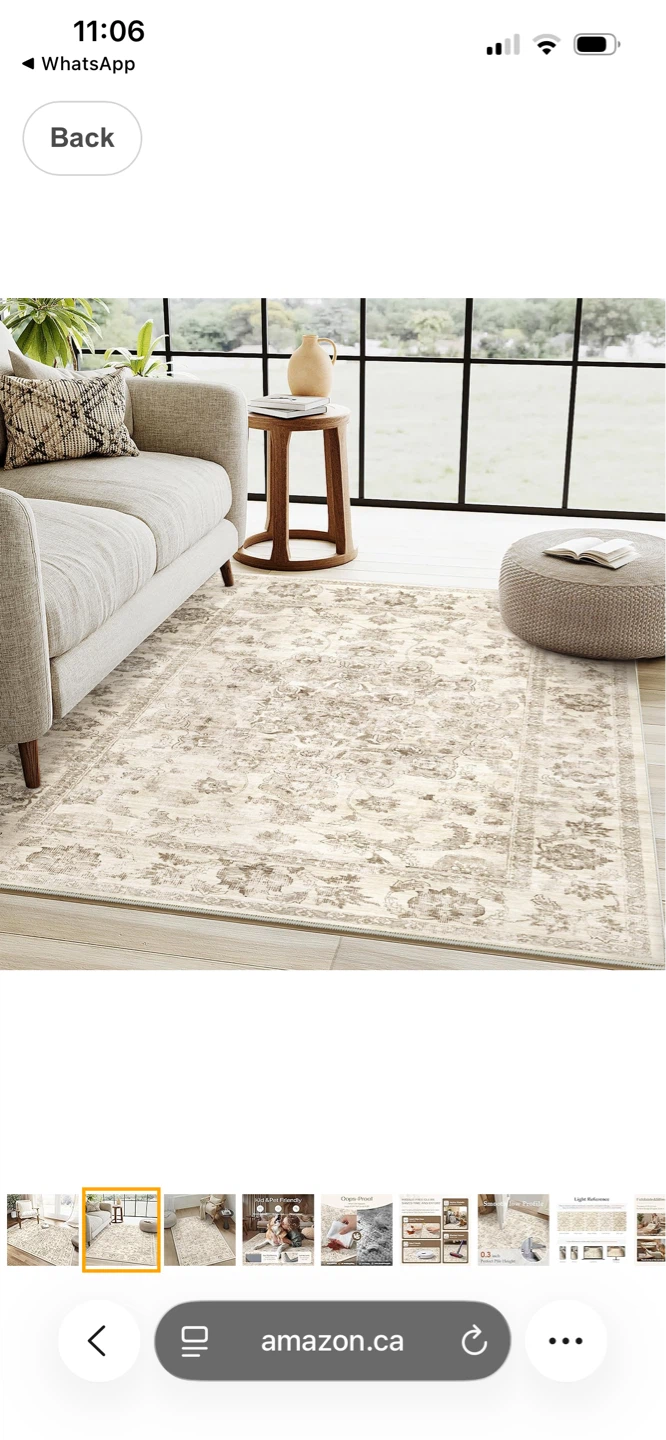 Distressed Floral Area Rug 3X4 - photo 2