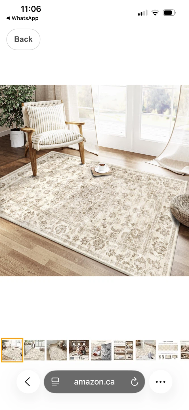 Distressed Floral Area Rug 3X4