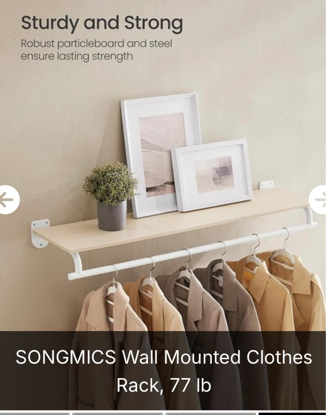 SONGMICS Wall Mounted Clothes Rack