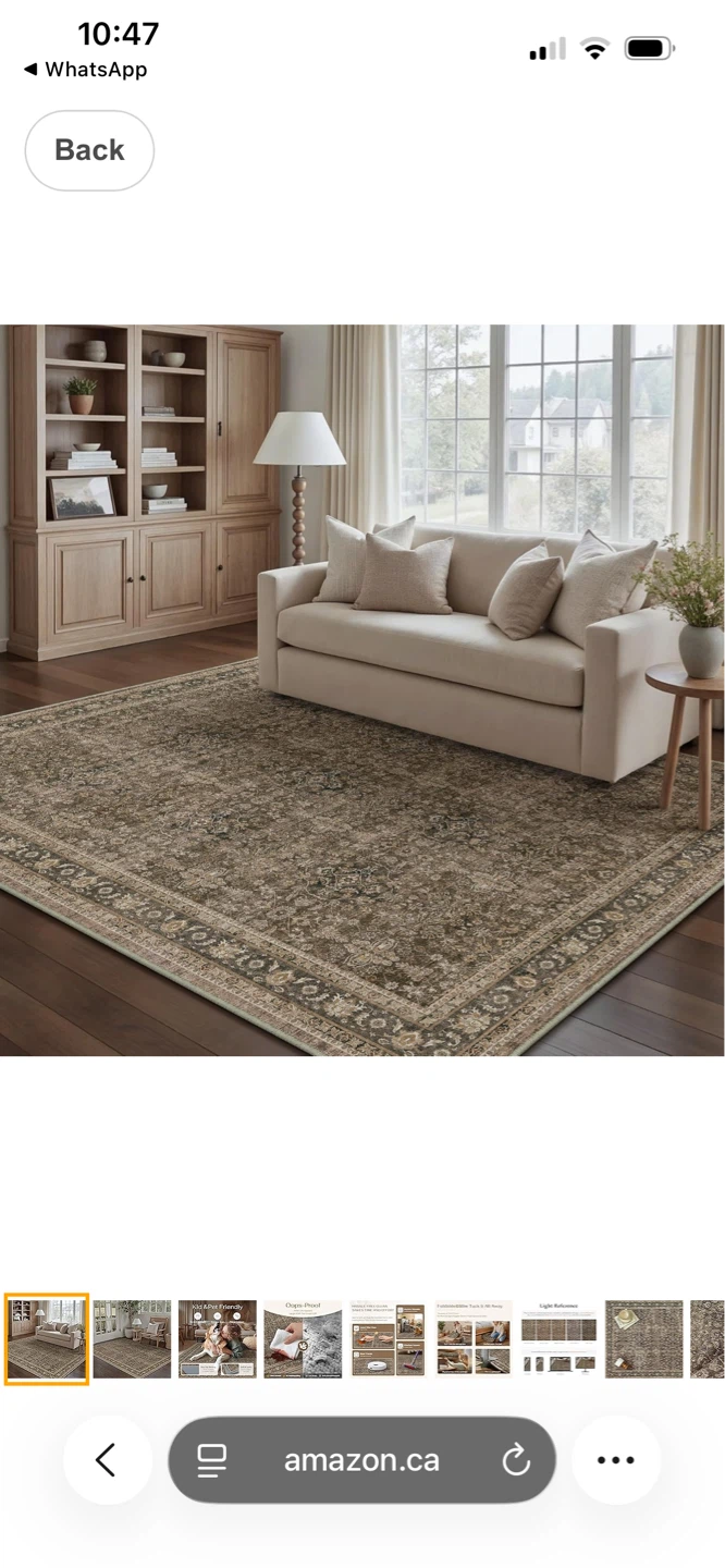 Area Rug 4X6