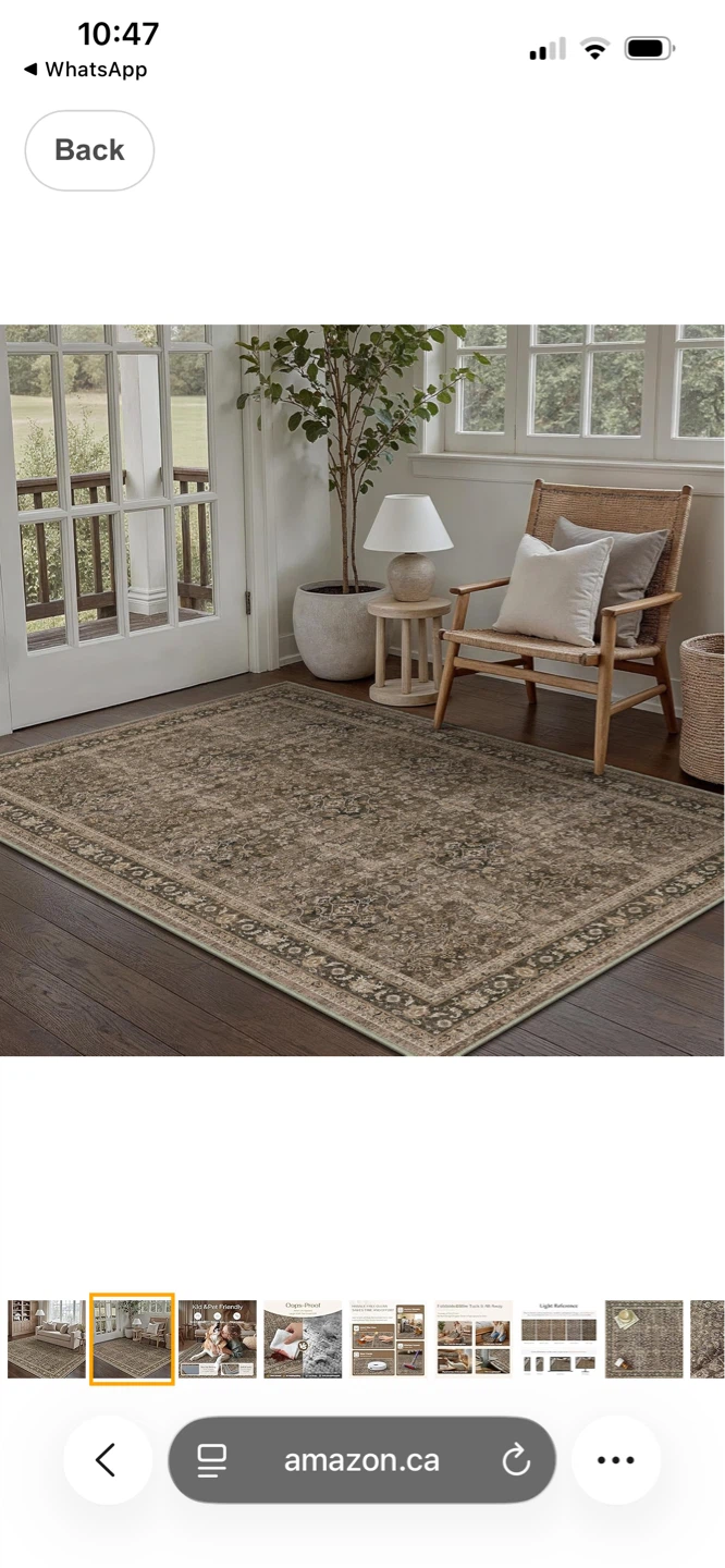 Area Rug 4X6 - photo 2