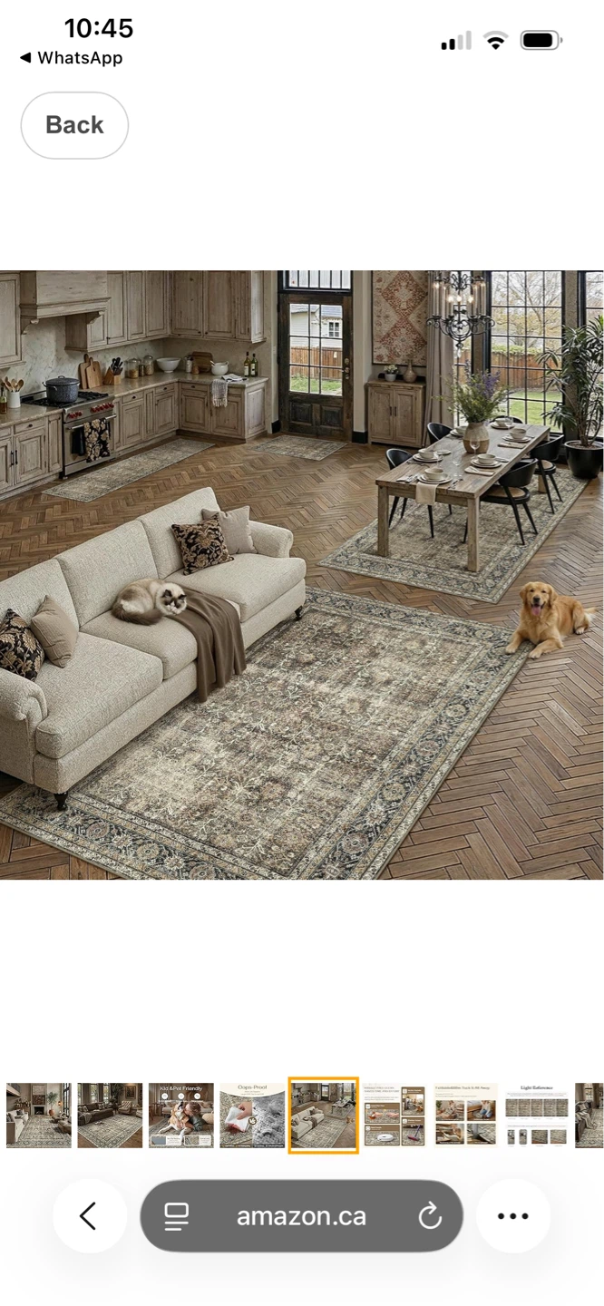 Vintage Style Area Rug 8X10 - photo 3