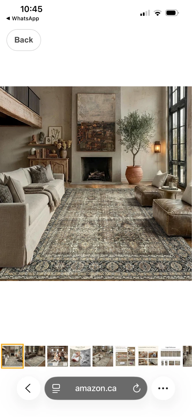 Vintage Style Area Rug 8X10