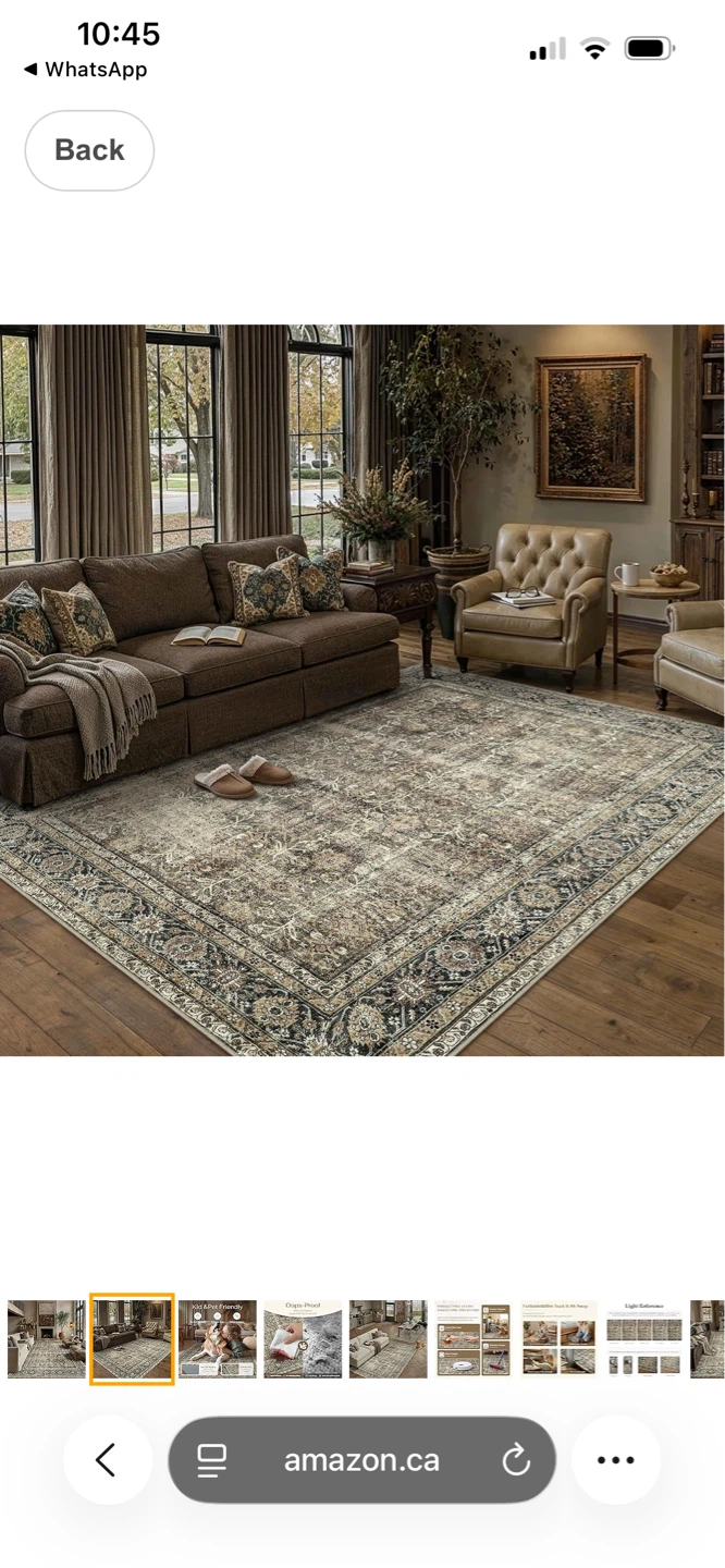 Vintage Style Area Rug 8X10 - photo 2