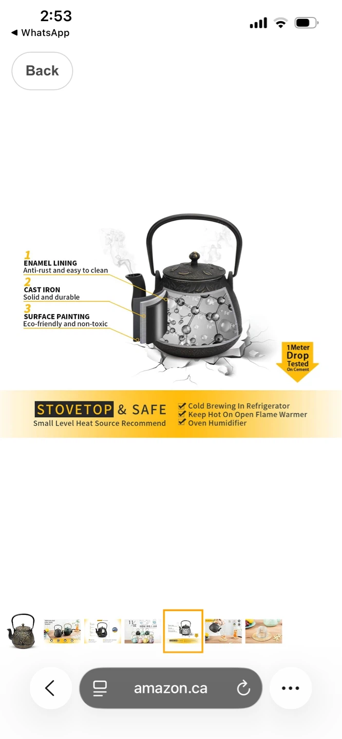 TopTiere Cast Iron Teapot - photo 4