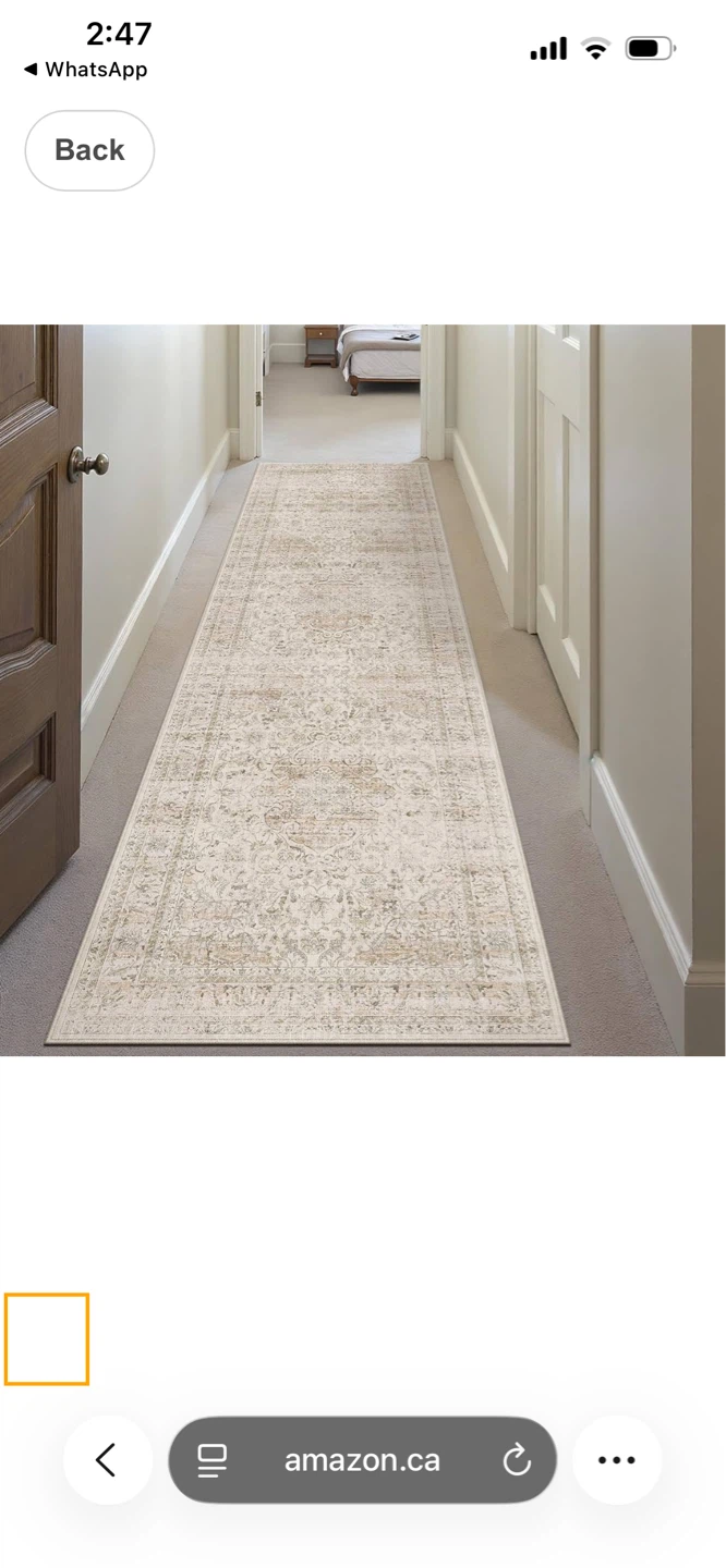 Runner Rug 3X10