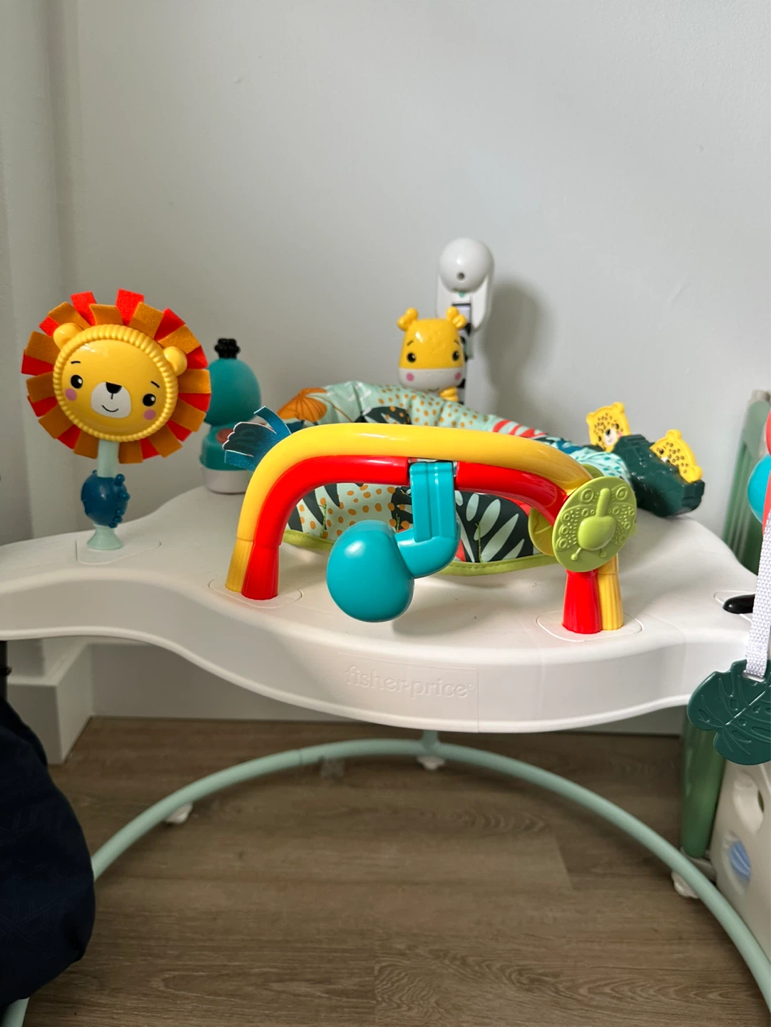 Fisher-Price Deluxe Jumperoo - photo 2