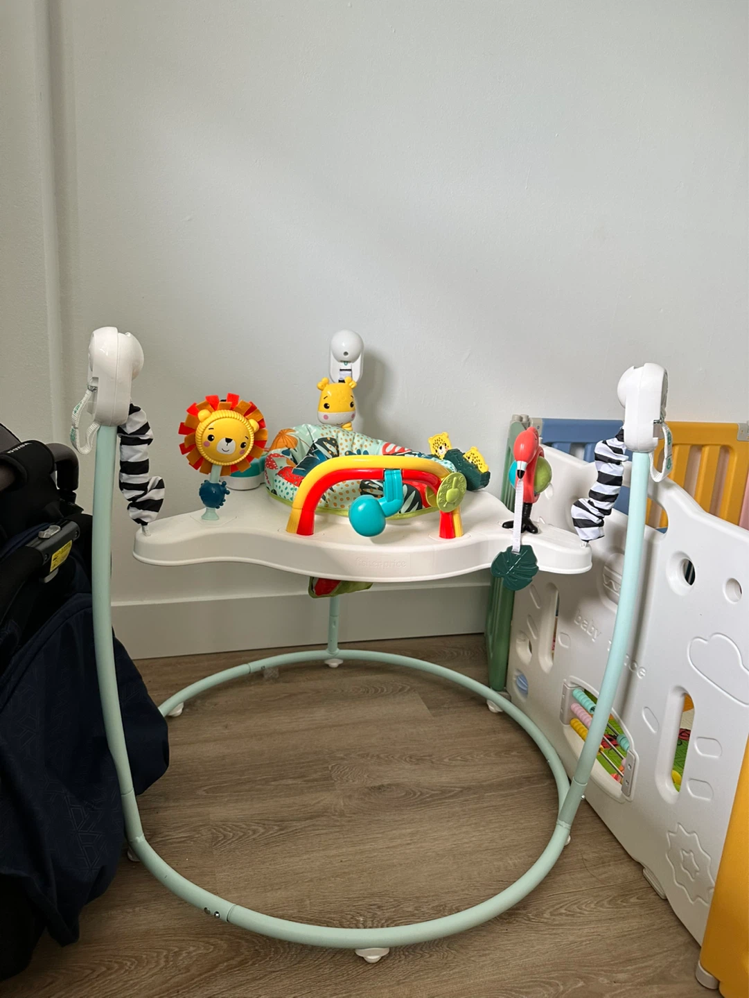 Fisher-Price Deluxe Jumperoo