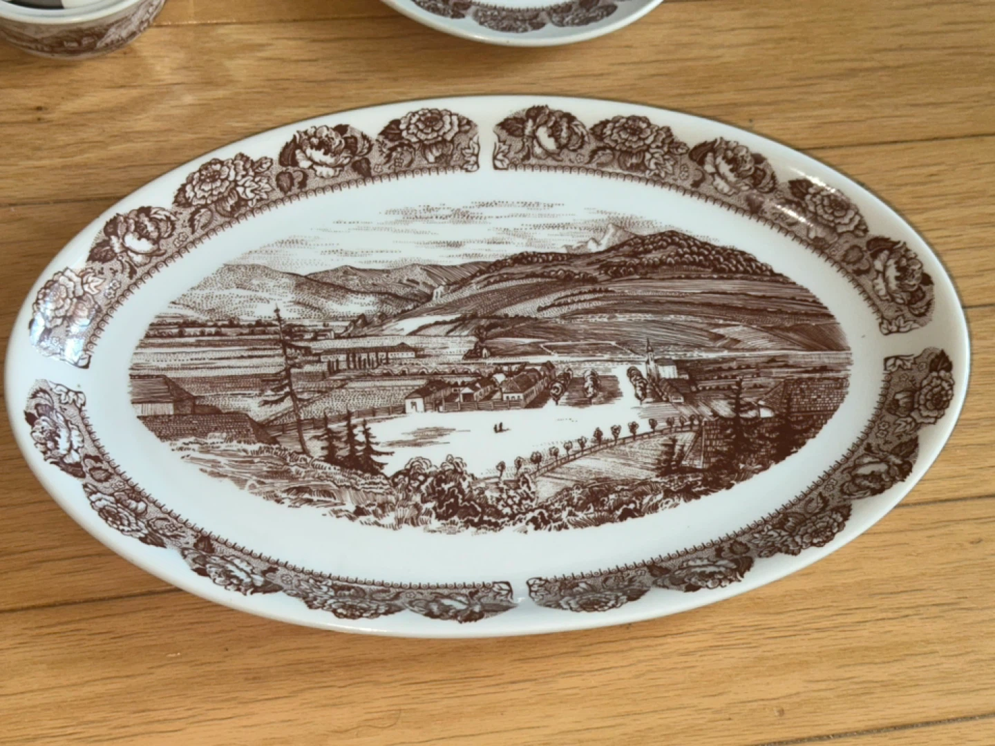 Brown Transferware China Set - Scenic Design - photo 2