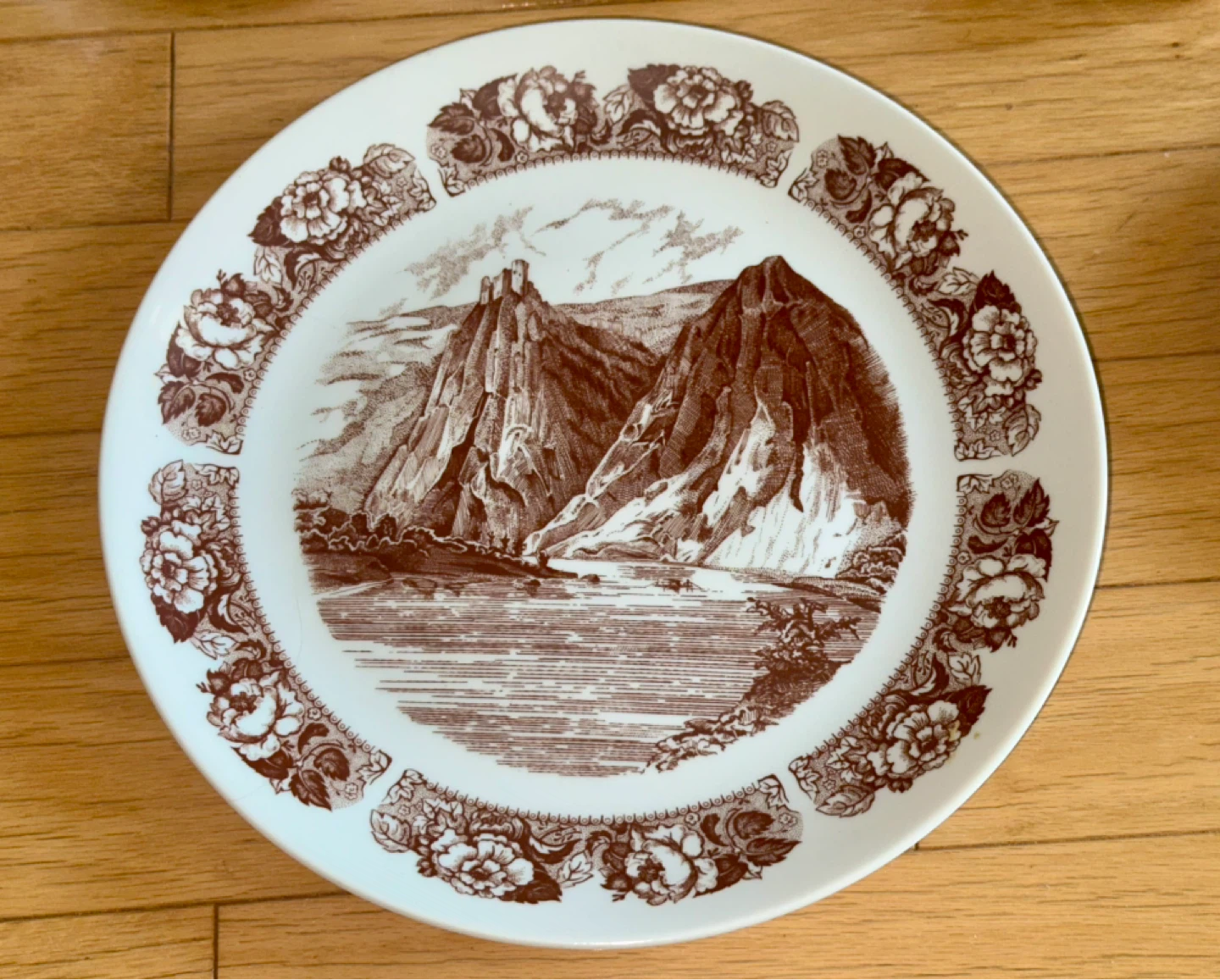 Brown Transferware China Set - Scenic Design - photo 3