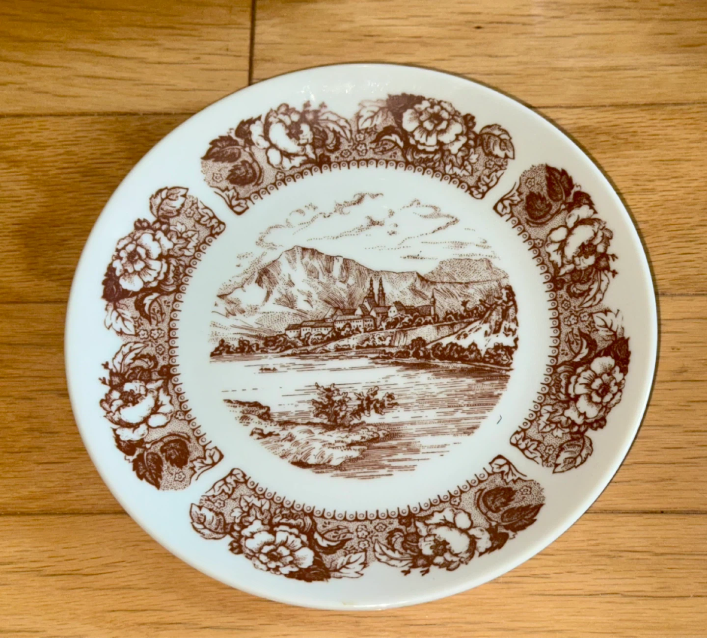 Brown Transferware China Set - Scenic Design - photo 4
