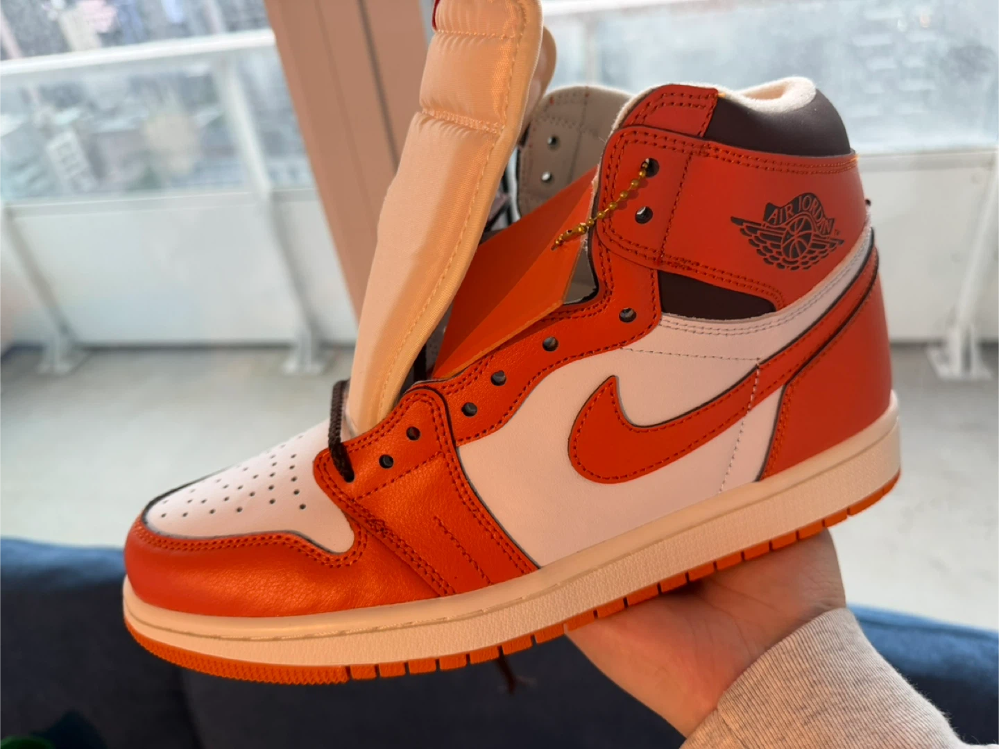 Nike Air Jordan 1 High OG