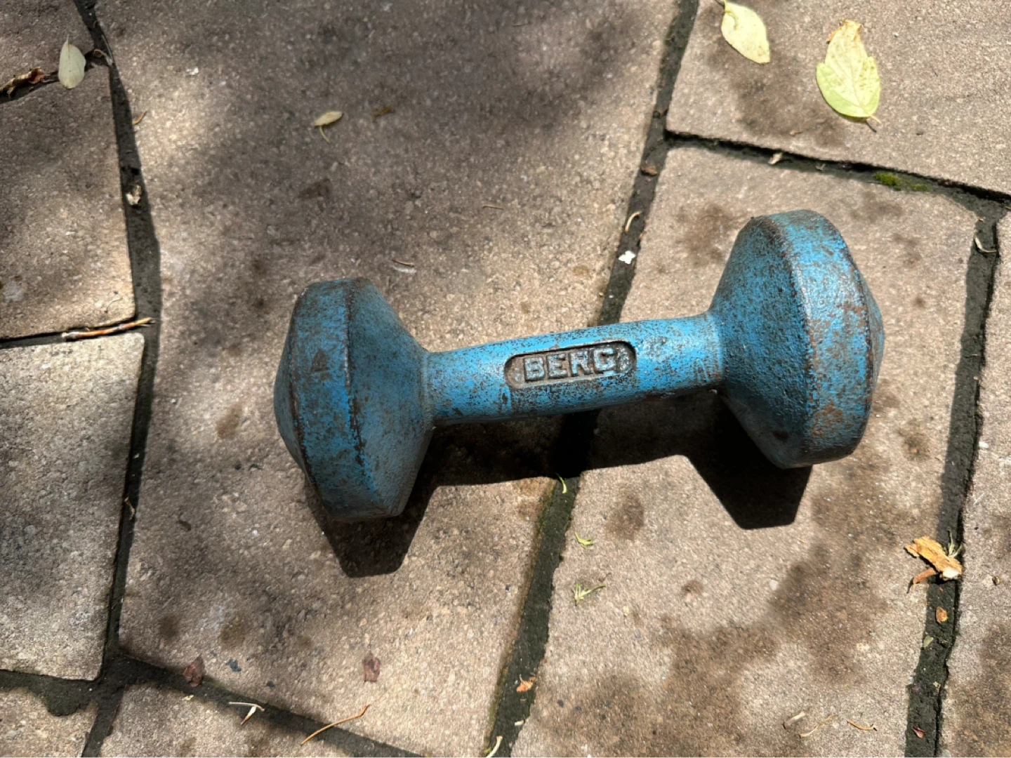 BERG Dumbbell