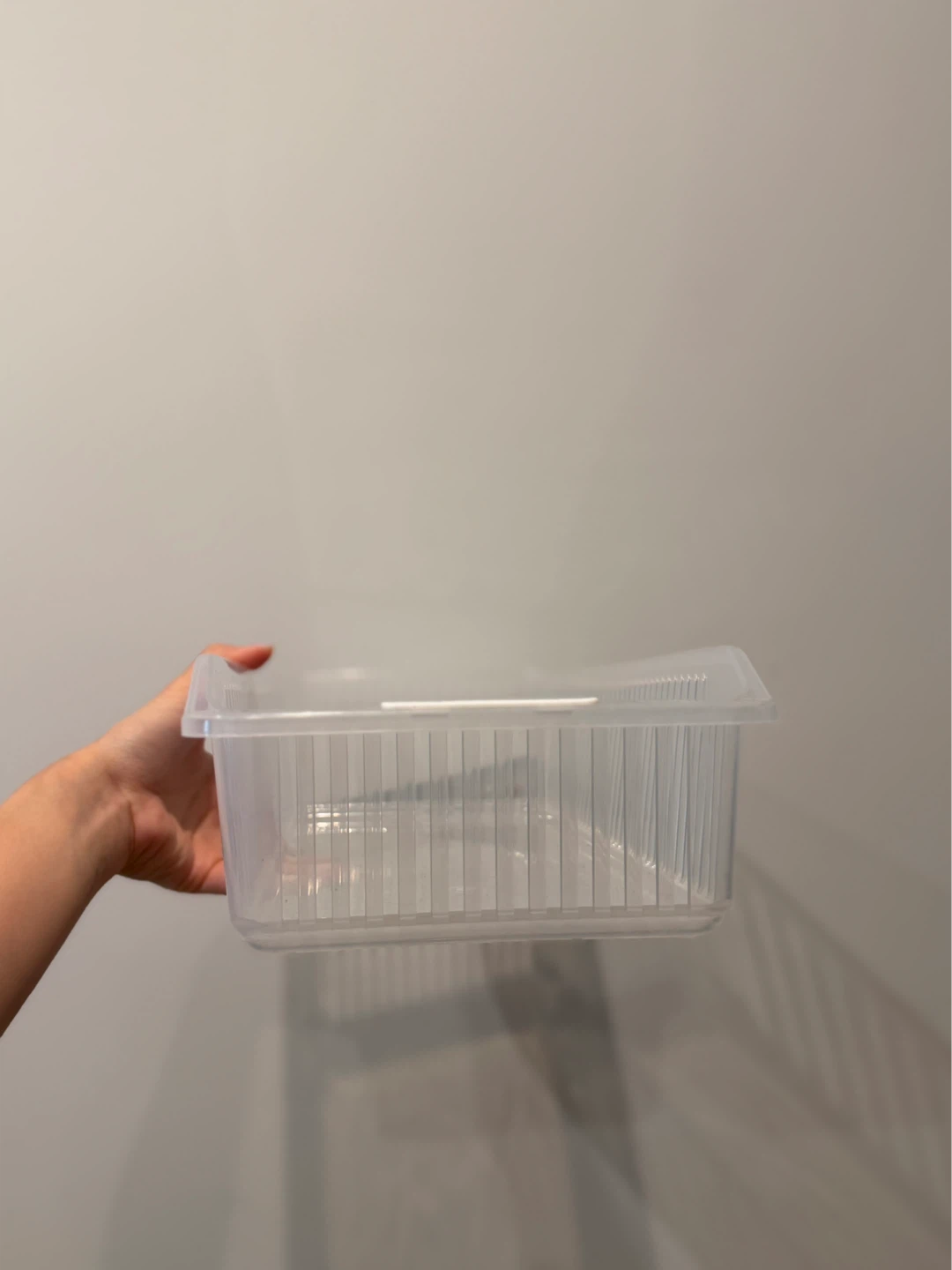 Clear Plastic Storage Container (two!)