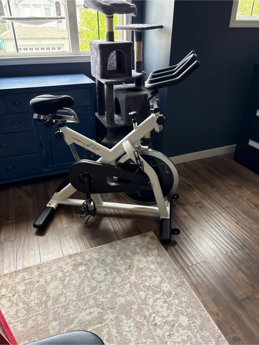 ProForm Carbon CX Spin Bike