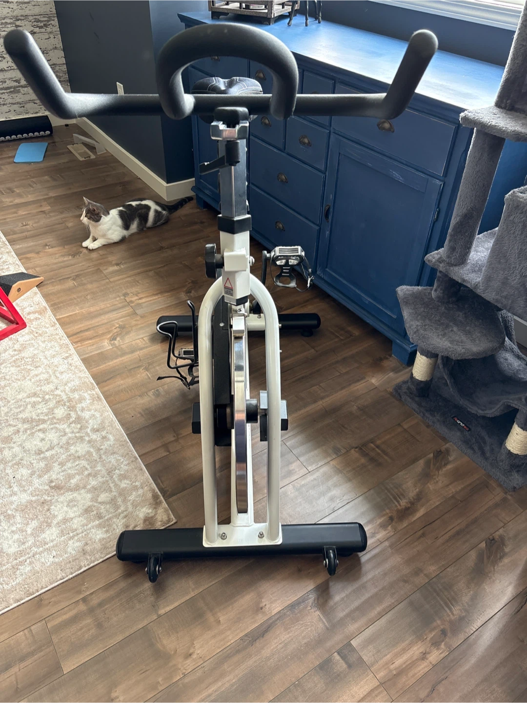 ProForm Carbon CX Spin Bike - photo 2