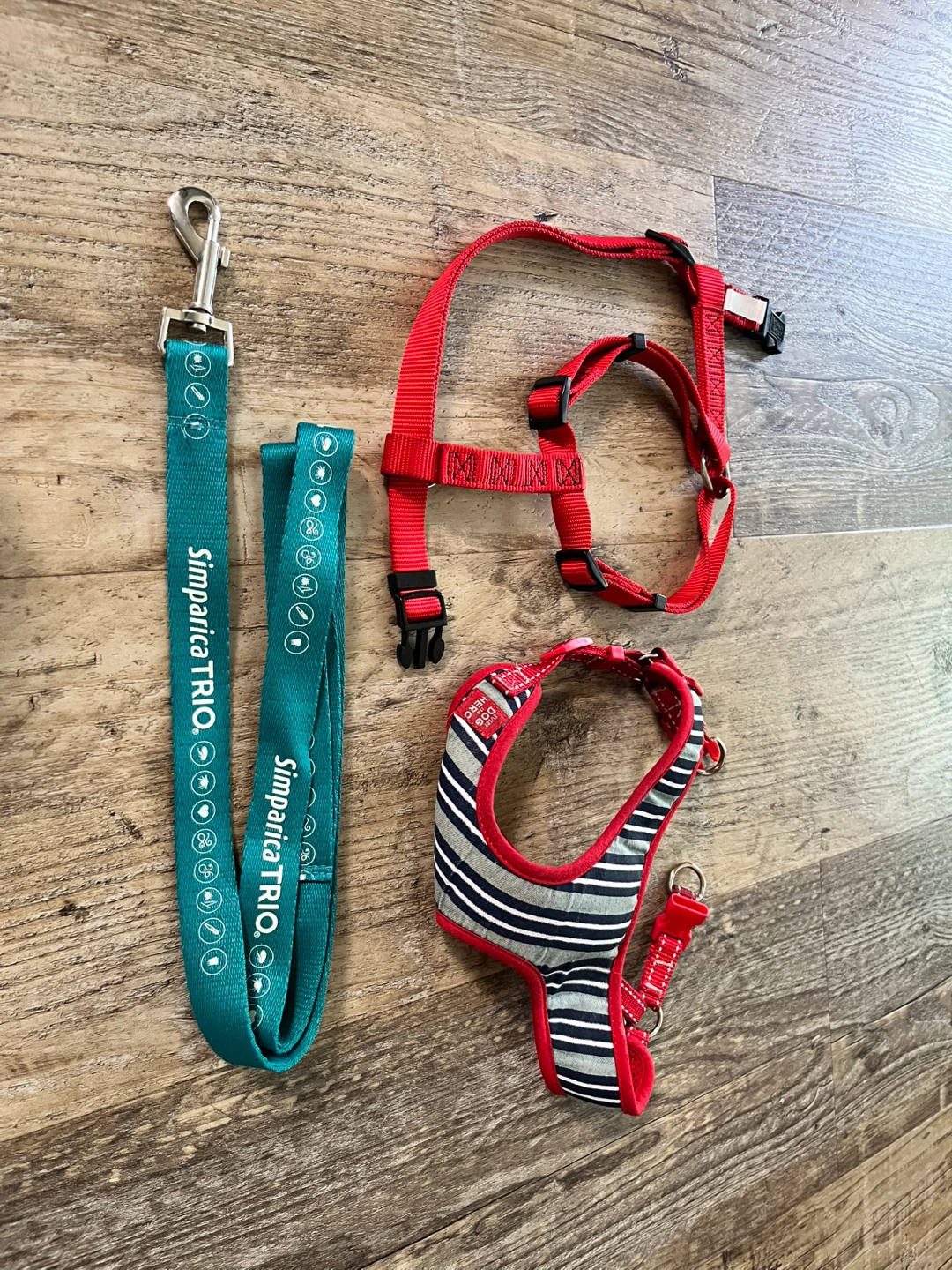 Dog Harness, Leash, and Collapsible Bowl Set