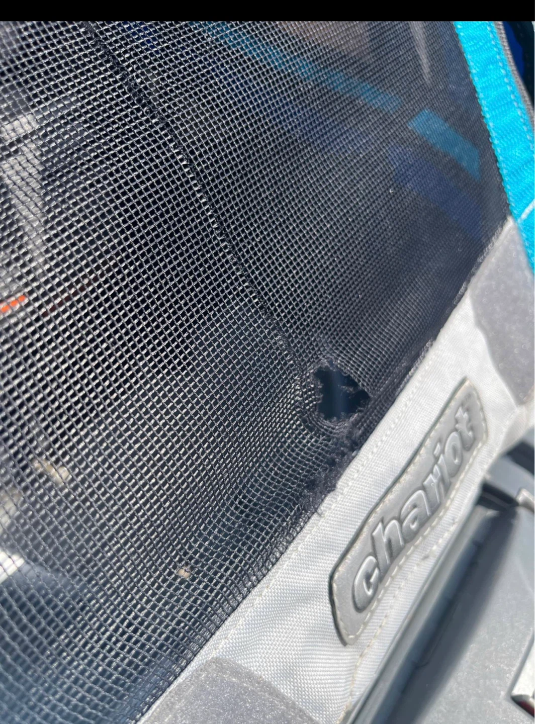 Chariot Chinook 1 Stroller - photo 2