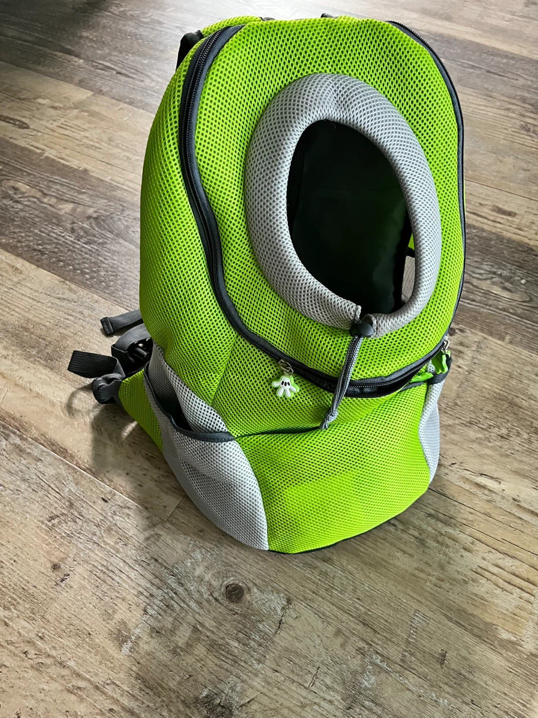Bright Green Pet Carrier Backpack