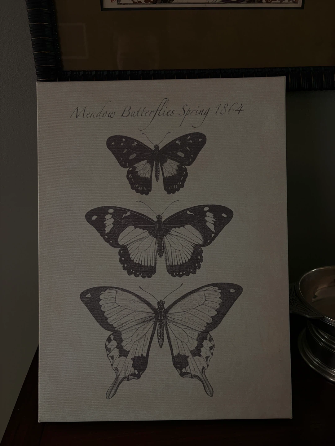 Butterfly Print Canvas - photo 2