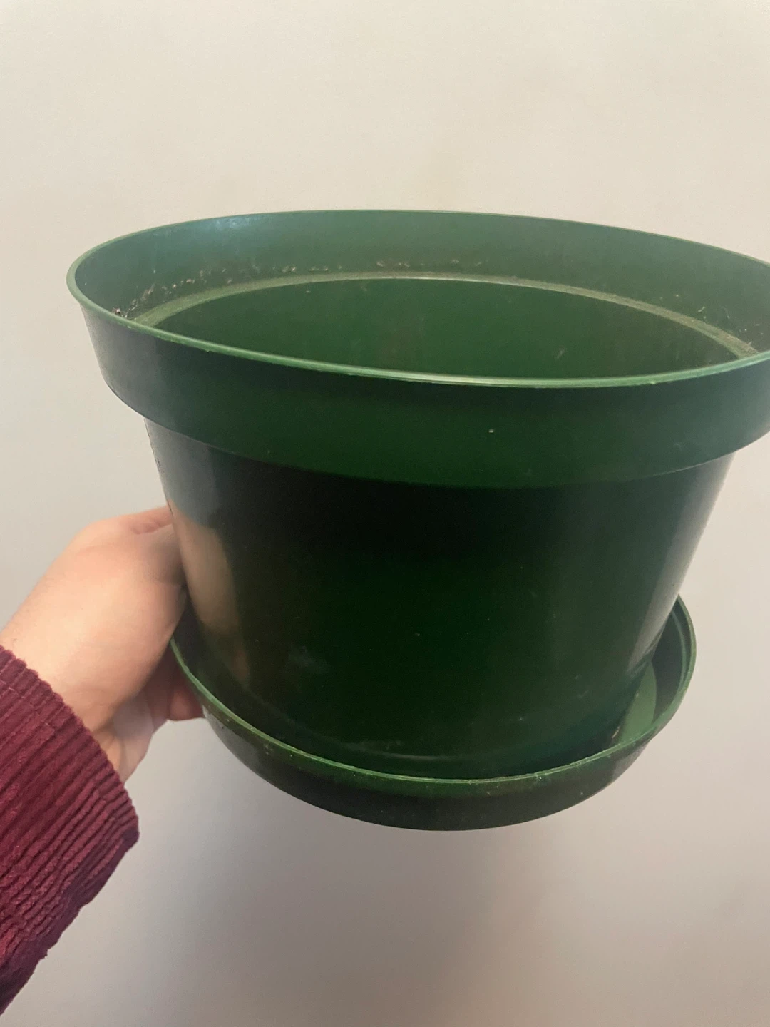 Green Plastic Plant Pot with Saucer - photo 3