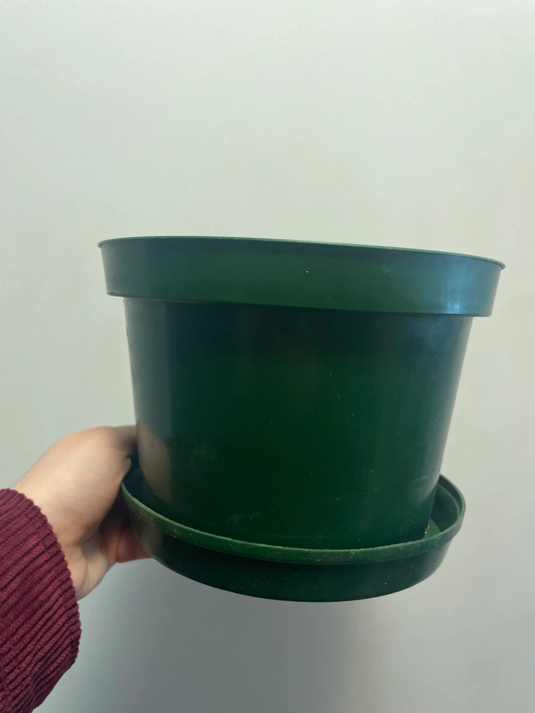 Green Plastic Plant Pot with Saucer