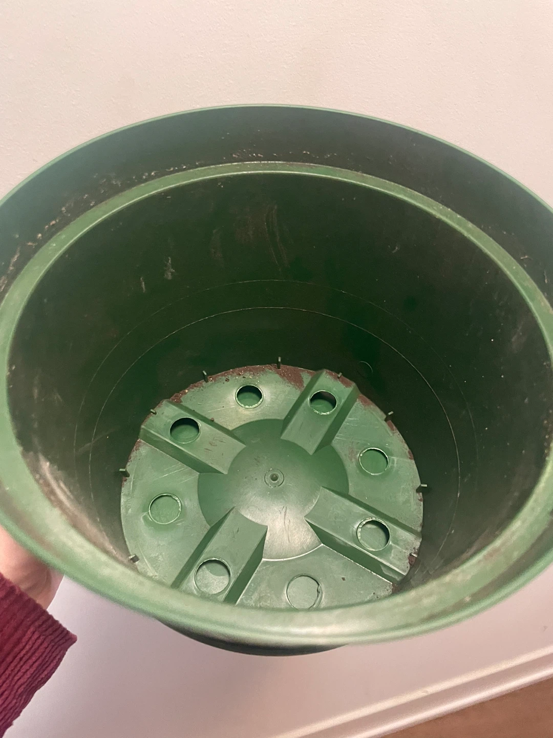 Green Plastic Plant Pot with Saucer - photo 2