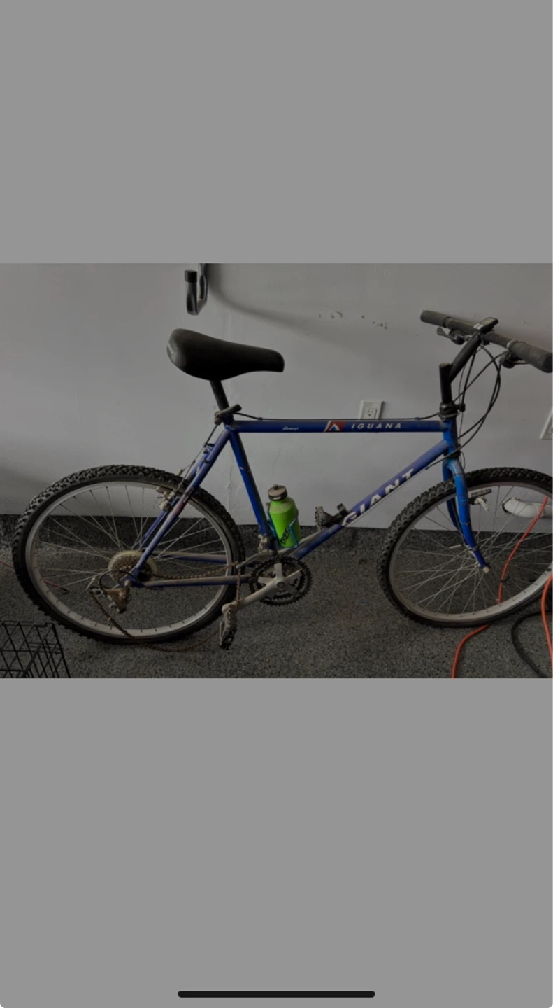 Giant Iguana Mountain Bike