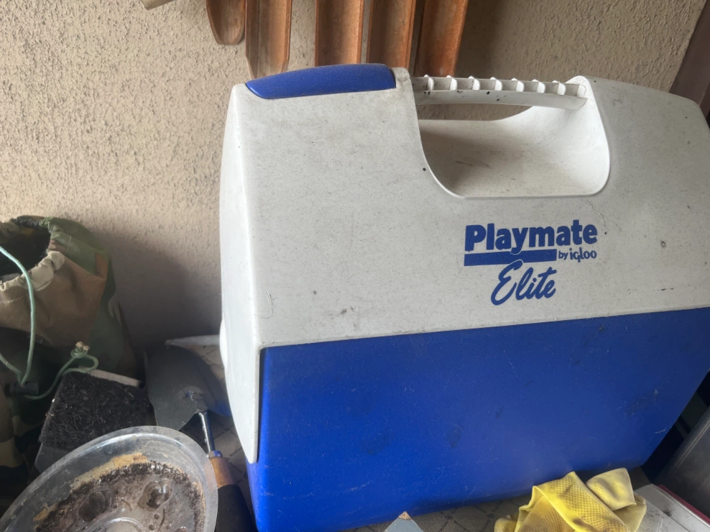 Igloo Playmate Elite Cooler